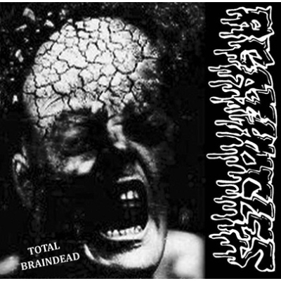 Agathocles/ Disorder - Split 10"