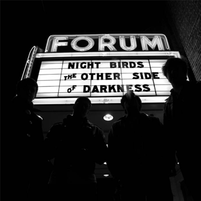 Night Birds - The Nightbirds the Other Side of Darkness LP