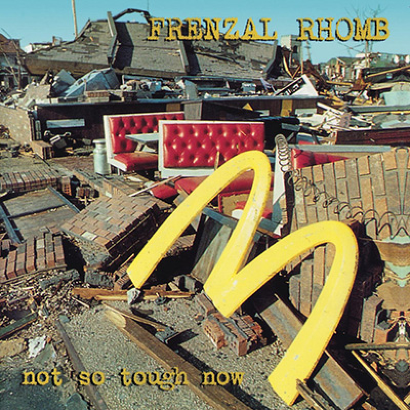 Frenzal Rhomb - Not so Tough Now LP
