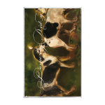 The Priceduifkes - Dancing Dirty cassette