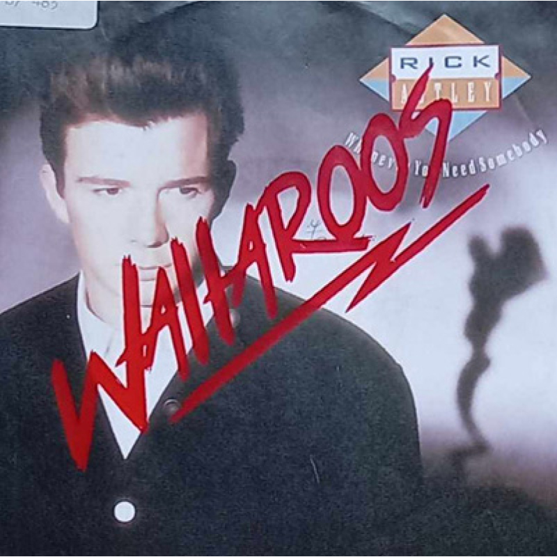 Wallaroos - Underwear/ Cry Sky 7"