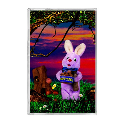 Wasted 24/7 - Nutmeg cassette