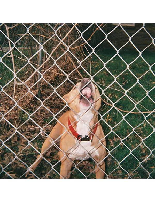 Knocked Loose - Pop Culture LP