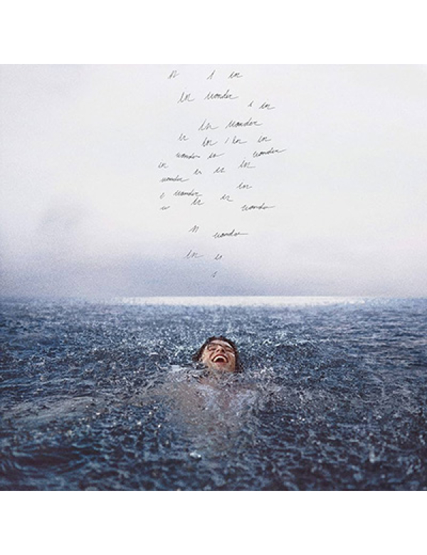 Shawn Mendes - Wonder LP