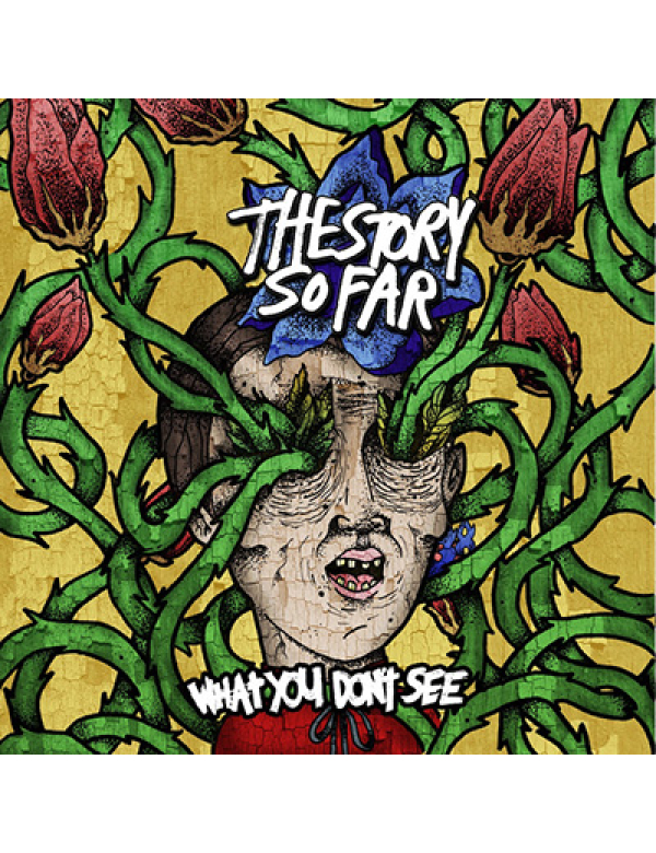 The Story So Far - What You Don't See LP