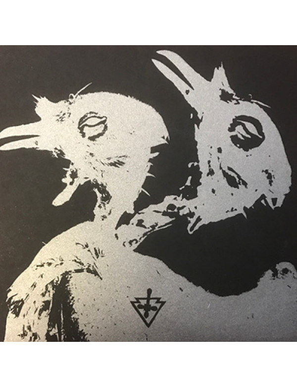 VVOVNDS - VVOVNDS 7"