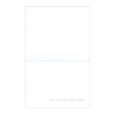 Foo Fighters - But Here We Are cassette