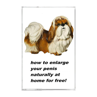King Dick – How To Enlarge Your Penis Naturally At Home For Free! cassette