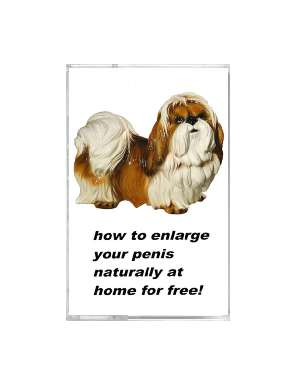 King Dick – How To Enlarge Your Penis Naturally At Home For Free! cassette