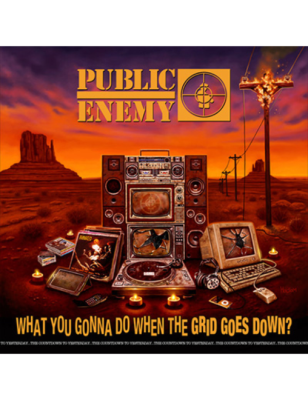 Public Enemy - What You Gonna Do When The Grid Goes Down? LP