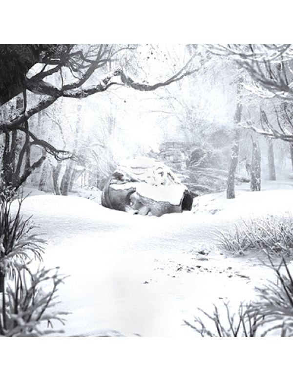 Weezer - Winter LP